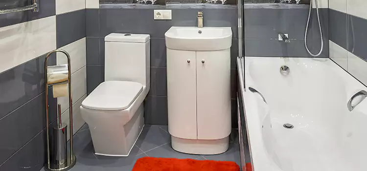 Hansgrohe Shaving Mirror Barnstable